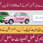 CM Punjab 1100 E-Taxi Scheme 2025 Disbursement Started