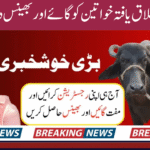 Punjab Livestock Scheme 2025 Free Cows and Buffaloes for Rural Women